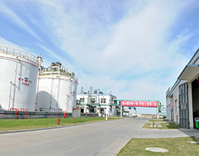 泉州恒河化工動力柜改造