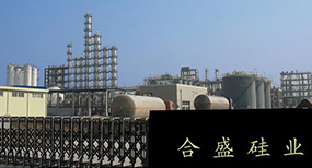 新疆西部合盛硅業(yè)有限公司
